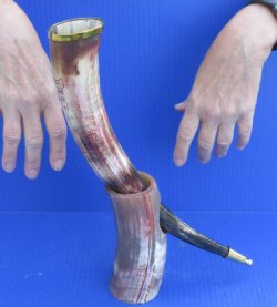 Carved Polished Buffalo Drinking horn and Horn Stand - $29