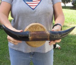 Polished Buffalo horns on 18 inch wall mount - $35