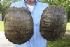 2 piece lot of 8-1/2 inch Red Eared Slider Turtle Shells - You are buying the two turtle shells shown for $11.00 each