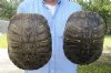 2 piece lot of 8 inch Red Eared Slider Turtle Shells - You are buying the two turtle shells shown for $11.00 each