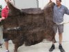 Genuine African Black Wildebeest Skin Rug, Wildebeest Hide with beautiful dark brown fur, 57 inches by 52 inches - You are buying the animal skin rug shown for $125.00