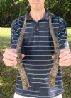 Matching Pair Blesbok Horns 15 inches long (You are buying the pair pictured) for $12.50 each