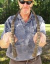 Matching Pair Blesbok Horns 14-3/4 inches long (You are buying the pair pictured) for $12.50 each