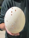 Carved African Ostrich Egg with African Giraffe for $45.00 (This is the carved egg you are buying.)