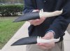 Two 8-1/2 to 8-3/4 inch Alligator Carved Jaw Bone Knives with leather sheaths, made from of a real alligator's jaw bone (You are buying the two knives shown) for $16.50 each.