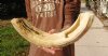22 inch Hippo Tusk, #2 Quality, Ivory for Carving, 4.50 lbs - You are buying the ivory tusk shown for $350.00