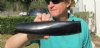 Polished Water Buffalo Horn piece from India 12 inches long, Bubalus Bubalis for $13.00 (This is the horn piece you are buying.)