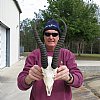 12-1/4 inches Springbok Horns on 9 inches Springbok Skull - You are buying the skull and horns shown for $45.00