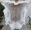 45" x 43" Light Colored Reindeer Skin from Finland, Tanned reindeer fur - You are buying the animal skin shown for $90.00