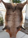 50 inch by 40 inch Blesbok Skin Rug, Blesbok Hide - You are buying the real animal skin rug shown for $50