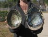 Two piece green abalone shells, 8-1/2 and 7-1/2 inches (You are buying the two abalone shells pictured) for $10.00 each