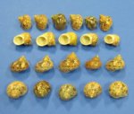 Wholesale Tapestry Turban Turbo Shells for hermit crabs 1 to 1-1/2 inches Packed 48 pieces @ .25 each; 240 pieces @ .225 each