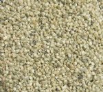Wholesale pearlized umbonium shells up to 1/2" - Bulk white seashells - $8.00 a gallon; 5 gallons @ $7.20 a gallon