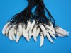 2" to 2-1/2" Alligator Tooth Necklace on black imitation  rope with tiny silver gator cap 20" - 3 pcs @ $6.80 each; <font color=red>12 pcs @ $6.00 each</font>