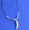 Wholesale Alligator Tooth Necklaces with silver tube, silver beads and 1 inch gator tooth - Packed 6 @ $2.00 each