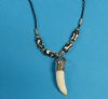 Wholesale Alligator Tooth Necklaces with Tiny Silver Gator and Black and White Beads and 1-1/4 to 1-1/2 inch tooth - Packed 3 @ $4.00 each