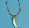 Wholesale Alligator Tooth Necklace with Violet Bead and Open Design Long Silver Tube and 1-1/2 to 1-3/4 inch gator tooth - Packed 3 @ $4.00 each