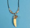 1-1/4 to 1-1/2 inch Alligator Tooth Necklace with tiny silver gator, silver skull beads 20 inches - Packed 3 @ $4.00 each