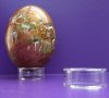 2-1/2 inches Wholesale Round Acrylic Ostrich Egg Display Stands, Round lucite stand - Packed 3 @ $2.50 each; Packed 12 @ $2.20 each