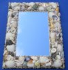 8"X10" Rectangle Shell Mirror with Natural Shells, Seashell Wall Mirror - Minimum: 2 @ $6.50 each