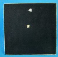 10 inch Wholesale Square White Shell Mirrors Outlined with Brown Striped natica Shells - Packed 2 @ $6.50 each;