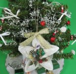 10 Wholesale Seashell Flower Ornaments wth Cut Strombus Shells with Tiny Gifts and Bow Packed 10 @ $1.90 each (Discount: 3 packs (30 pc +) $1.71 each)