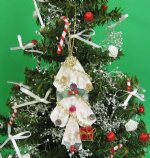 10 Wholesale Cut Strombus Shells with Gold Bead Garland Seashell Christmas Tree Ornaments Packed 10 @ $1.70 each (Discount: 30 pcs (3 packs) + $1.53 ea)