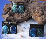 1-1/8 Inches Long Oval Paua Abalone Shell Earrings Wholesale 3 pairs @ $1.90 a pair