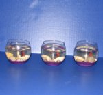 Wholesale Seashell  Gel Candles With Fish For Beach Wedding Favors "Sale" Minimum 3 piece @ $2.20 each
