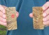 3-1/2" x 1-1/2" x 1/4" Wholesale Sheep Horn Scales, Sheep Horn Slabs - $11.50 a pair; Case of 10 @ $10 a pair (You will receive scales that look similar to the photos)