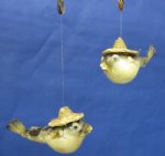 10 Wholesale Puffer Fish with Hat Ornament 4 inches to 6 inches Packed 10 @ .80 each