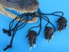 Wholesale alligator foot necklaces on black leather strap for Gator fans Packed 6 @ $2.10 each;<font color=red> Pack of 50 @ $1.83 each</font>