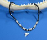 18 inches Black Coconut Necklaces with Shark Teeth Pendants Packed 12 @ $1.25 each 