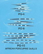 Porcupine Quills
