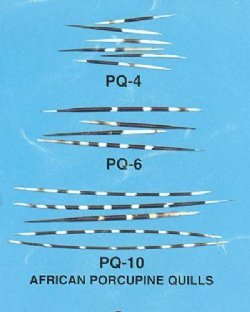 Porcupine Quills Wholesale Priced
