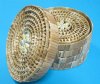 Set of Two 7-1/2" and 6" Round Wicker Baskets with Lids decorated with Cowrie Shells - Pack of 3 @ $3.50 a set; 