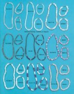 Sea Shell Jewelry Wholesale