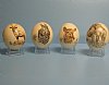 Scrimshaw Ostrich Eggs