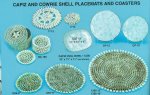 Shell Placemats and Shell  Coasters