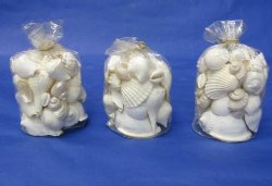 Shell Gifts for Wedding Favors