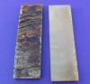 5" x 1-1/2" x 1/4" Sheep Horn Scales - $10.00 a pair; 5 pairs @ $8.50 a pair