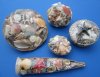 Shell Baskets - Shell Net Bags