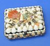 Seashell Crafts Ideas