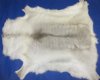 Reindeer Skins, Hides Hand Selected