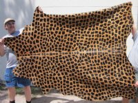 Cowhide Rugs with Stencilled Animal Prints