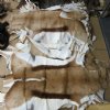 Wholesale African Springbok Skins Hide Rug for African Themed Decor Grade B  - $40.00; 5 pcs @ $35.00 each (You will receive one similar to the one shown.)