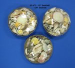 10 inch Wholesale seashell gift baskets  for seashell wedding decor - 6 @ $2.25 each; 6 Cases (36 pcs) @ $2.00 each