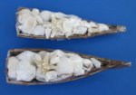 12 inches Wholesale Coconut Boats with White Seashells and White Knobby Starfish for Seashell Wedding Favors and Decor -  Packed 6 @ $2.15 each; 