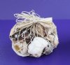 500 Gram Wholesale Open Weave Rope Shell Gift Bag filled with mixed natural shells - Case of 20 @ $1.05 each