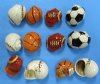 Painted Hermit Crab Shells